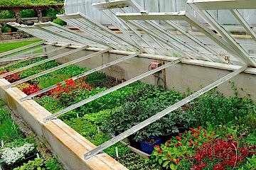 Evde Sera Nasıl Kurulur ? Soruna En İyi Şekilde Yardımcı Olalım.