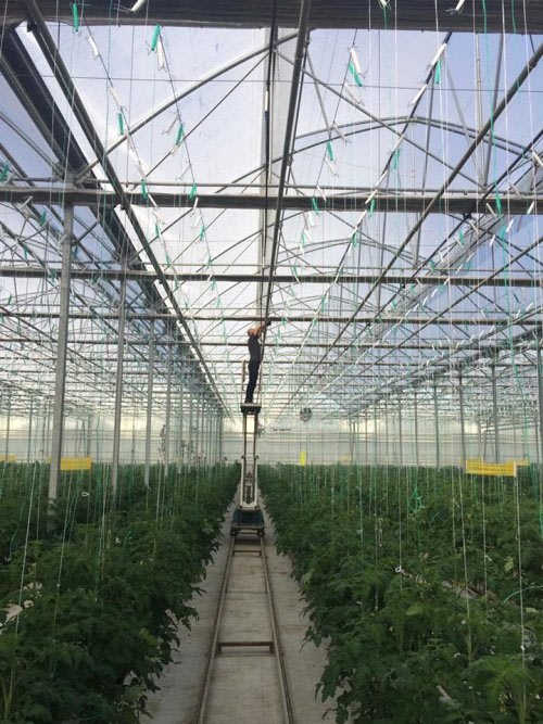 Çelik Konstrüksiyon ve Hafif Çelik Yapılar