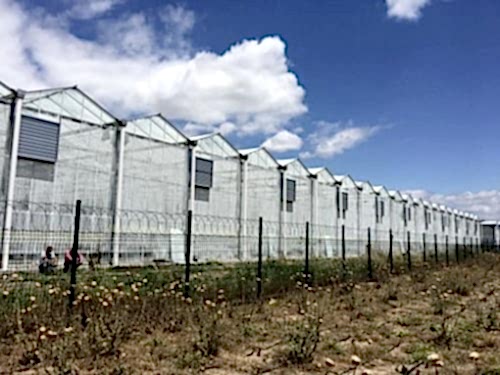 Sera Fan Pad Sistemi