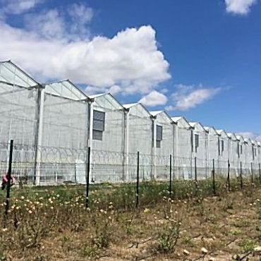 Sera Fan Pad Sistemi