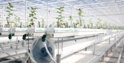 Sera Havalandırma Sistemi