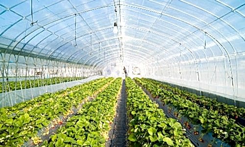 Sera Konstrüksiyon Sistem ve Ürünleri