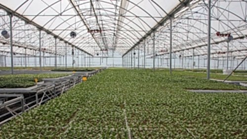 Sera - Projelendirme - Üretim Danışmanlığı