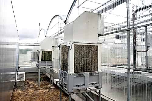 Sera Soğutma Sistemi