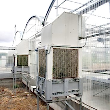 Sera Soğutma Sistemi